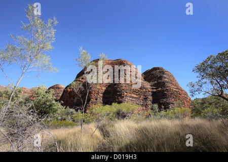 Sandstone and conglomerate rock formations known as the Bungle Bungles. Purnululu National Park, Western Australia. Stock Photo