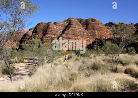 Sandstone and conglomerate rock formations known as the Bungle Bungles. Purnululu National Park, Western Australia. Stock Photo