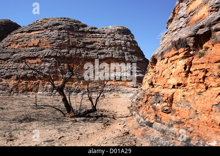 Sandstone and conglomerate rock formations known as the Bungle Bungles. Purnululu National Park, Western Australia. Stock Photo