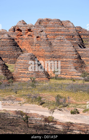 Sandstone and conglomerate rock formations known as the Bungle Bungles. Purnululu National Park, Western Australia. Stock Photo