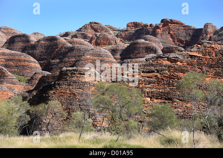 Sandstone and conglomerate rock formations known as the Bungle Bungles. Purnululu National Park, Western Australia. Stock Photo