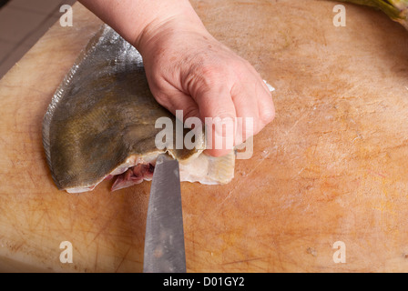 Skinning fish, professional cook displaying her skills Stock Photo