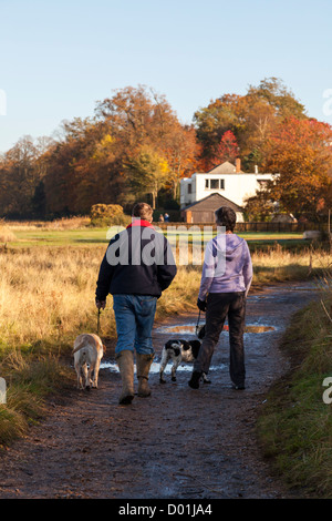 Couple walking away with labrador and spaniel dog on a muddy path on a winter sunny day. Stock Photo