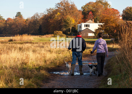 Couple walking away with labrador and spaniel dog on a muddy path on a winter sunny day. Stock Photo