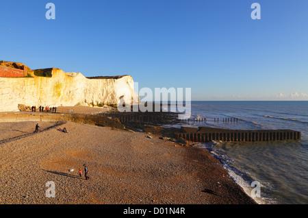 Seaford Head cliffs East Sussex UK GB Stock Photo