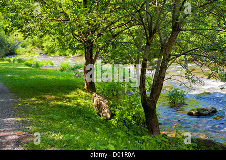 The River Lyn (East) along the path towards Watersmeet near Lynmouth, Exmoor, north Devon, England, UK Stock Photo