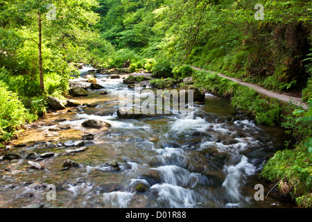 The River Lyn (East) along the path towards Watersmeet near Lynmouth, north Devon, England, UK Stock Photo