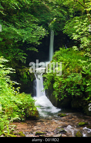 Waterfall on Hoar Oak River near Watersmeet, Exmoor, Devon, England, UK Stock Photo