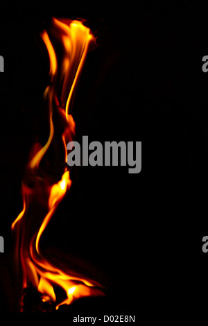 Abstract background. Fire raising upwards on a dark background Stock Photo