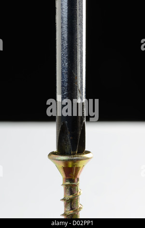Close-up of a screwdriver driving a brass screw Stock Photo