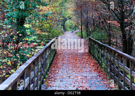 The Old Railway Path between Keswick and Threlkeld Cumbria England Stock Photo