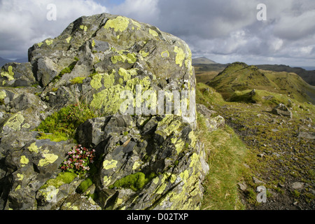 View from the summit of Cnicht (The Knight) mountain, looking north-eastwards along the summit ridge. Snowdonia, North Wales. Stock Photo