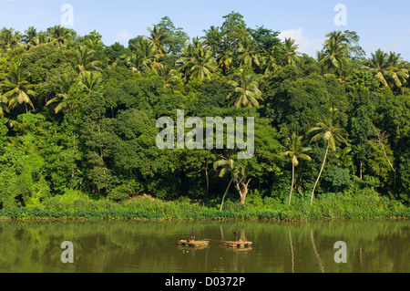 Men fishing from floating rafts on a river with verdant green banks, on the outskirts of Kandy, Sri Lanka