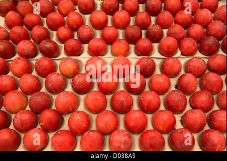 Plums sorted on a market place Stock Photo