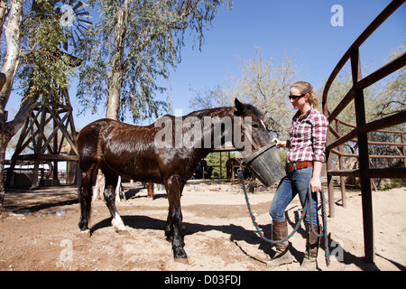 Tucson, Arizona, United States. White Stallion Dude Ranch Stock Photo