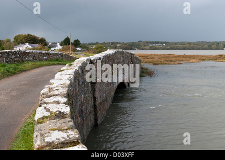 River Afon Nodwydd at a very high tide  Red Wharf Bay Anglesey Stock Photo