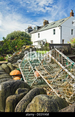 Houses on the seafront in the village of Craster on the Northumberland coast, England Stock Photo