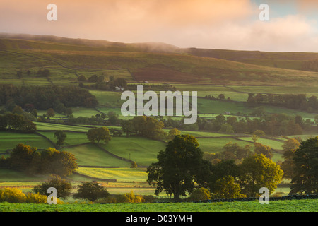 Sunrise on a misty day near Askrigg in Wensleydale, Yorkshire Dales National Park, England Stock Photo