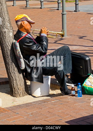 Busker playing trumpet whilst leaning against a tree at Port Olimpic beach Barceloneta Barcelona Catalonia Spain Stock Photo