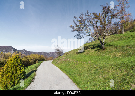 road in the countryside Stock Photo