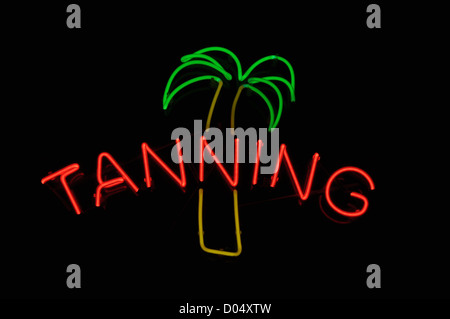 Tan Neon Light Sign with Palm Tree Stock Photo