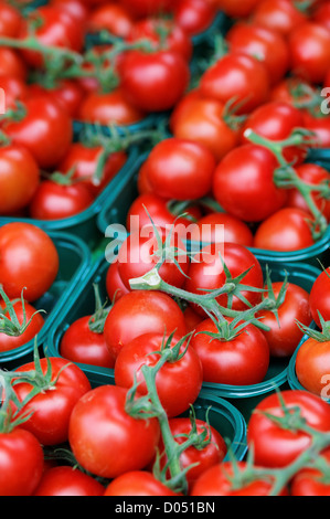 Fresh Ripe Red Tomatoes Stock Photo