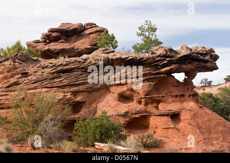 Eroded shapes in Red Wingate sandstone, Long Canyon, near Boulder,  Grand Staircase-Escalante National Monument, south Utah, USA Stock Photo