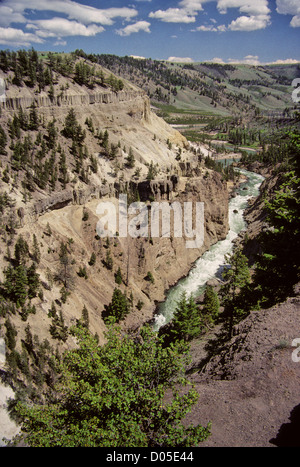 Yellowstone National Park's Yellowstone River on a summer day. Stock Photo