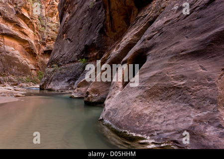 The Narrows, canyon on the North Fork Virgin River, Zion Canyon, National Park, Utah, USA Stock Photo