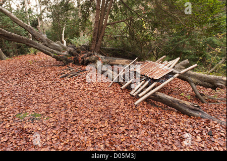 secret dwelling house camp of homeless person in middle of undergrowth that is covered in leaves autumn revealing den leanto Stock Photo