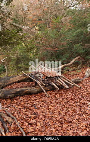 secret dwelling house camp of homeless person in middle of undergrowth that is covered in leaves autumn revealing den leanto Stock Photo