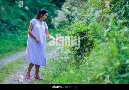 Pregnant woman strolling in forest and picking flowers, France, Europe Stock Photo