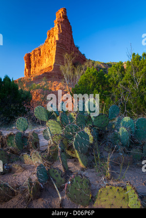 Sandstone wall and Prickly Pear cactus in Caprock Canyons State Park Stock Photo