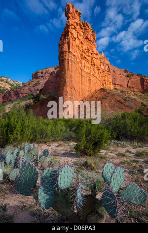 Sandstone wall and Prickly Pear cactus in Caprock Canyons State Park Stock Photo