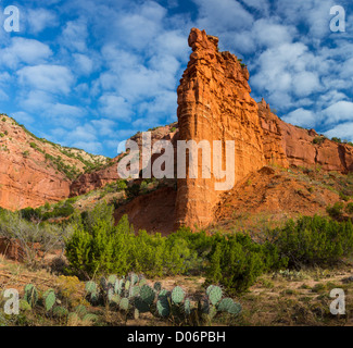 Sandstone wall and Prickly Pear cactus in Caprock Canyons State Park Stock Photo