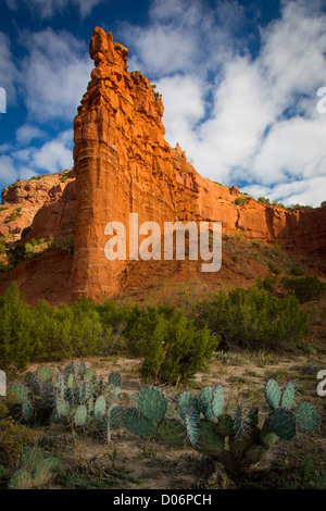 Sandstone wall and Prickly Pear cactus in Caprock Canyons State Park Stock Photo