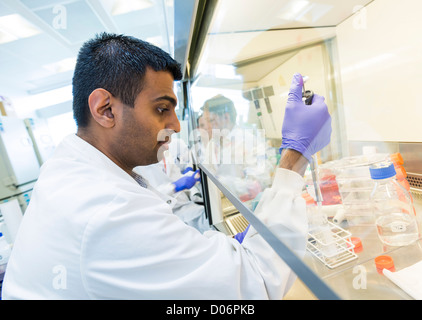 The Centre for Liver Research at the University of Birmingham Medical School. Stock Photo