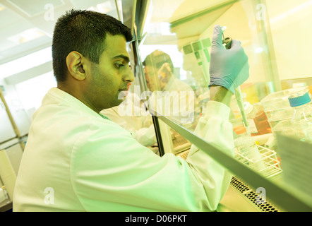 The Centre for Liver Research at the University of Birmingham Medical School. Stock Photo