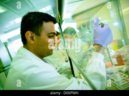 The Centre for Liver Research at the University of Birmingham Medical School. Stock Photo