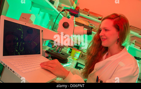 Female scientist looking through a microscope at a Medical School. Stock Photo