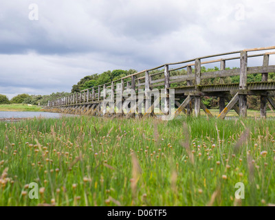 The wooden bridge at Aberlady Bay local nature reserve in East Lothian, Scotland. This reserve is important for breeding birds. Stock Photo