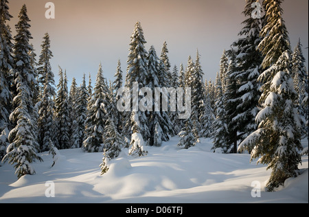 Skyline Lake, in Washington's Cascade Mountains, snowed in during winter Stock Photo