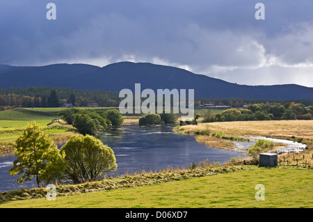 The River Spey between Boat of Garten and Grantown on Spey in Highland Scotland is flowing over after heavy rain in the autumn Stock Photo