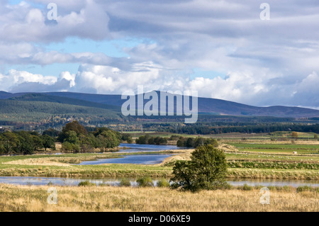 The River Spey between Boat of Garten and Grantown on Spey in Highland Scotland is flowing over after heavy rain in the autumn Stock Photo