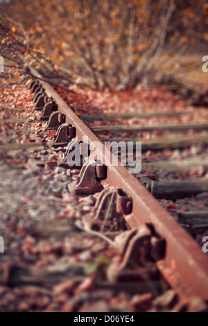 Autumn leaves on railway track, close up. Stock Photo
