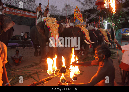 Formation of gold-caparisoned elephants at the Thrissur Pooram. Poorams are Hindu Temple-centered festivals popular in Kerala. Stock Photo