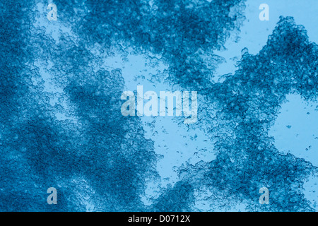 Abstract image of ice on glass. Stock Photo