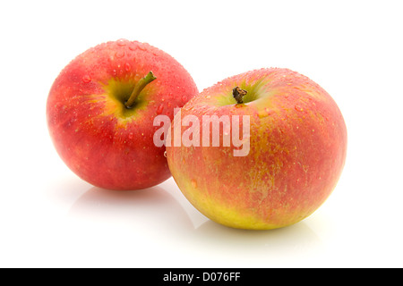 Two juicy apples with water drops over white background Stock Photo