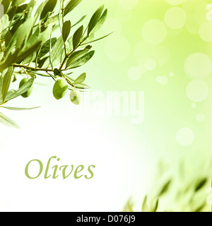 Photo of olive branch border, fresh green olives backdrop, beautiful olive leaves frame, abstract autumn background Stock Photo