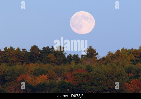 Full Moon over Bath, Bath, Maine, USA, full moon, fall colors, astronomy,
